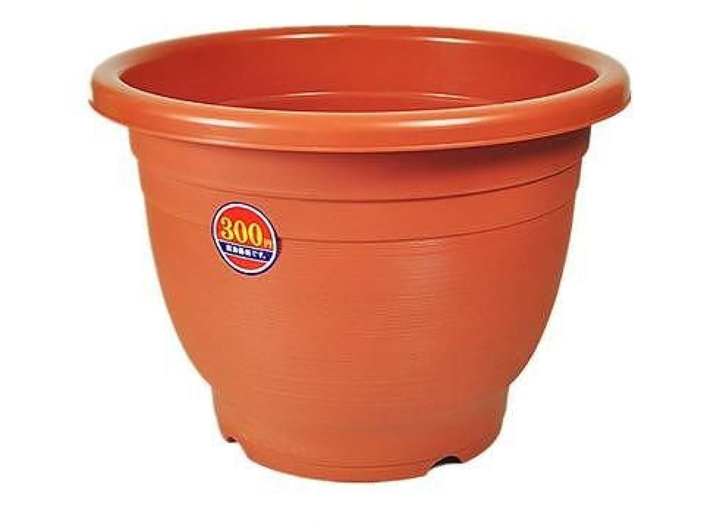３００円植木鉢 ダイソー(DAISO)