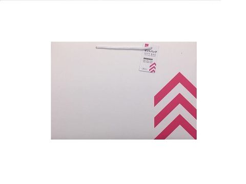 ギフトバッグ ダイソー(DAISO)