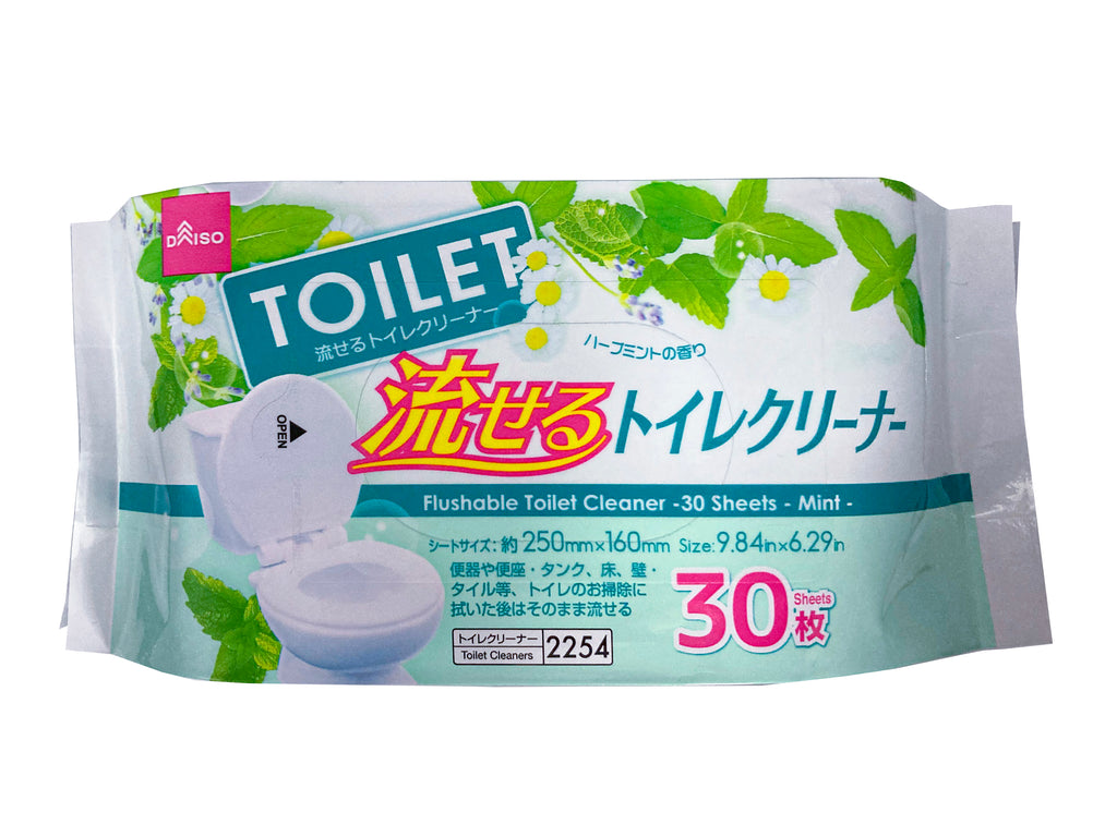 流せるトイレクリーナー（３０枚、ミント） ダイソー(DAISO)
